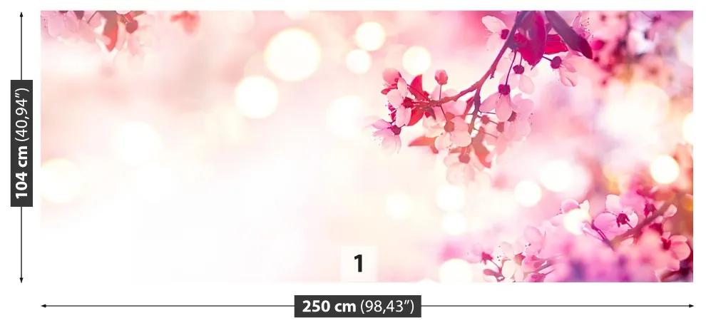 Fotótapéta Cseresznye virágok 104x70 cm