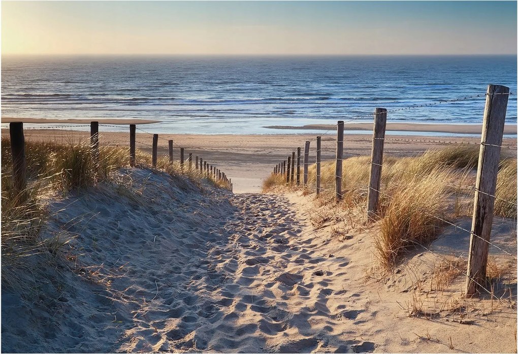 Divatos Flizelin Tapéta Ragasztóval Fali 3D Strand ösvény 152x104 Ragasztó