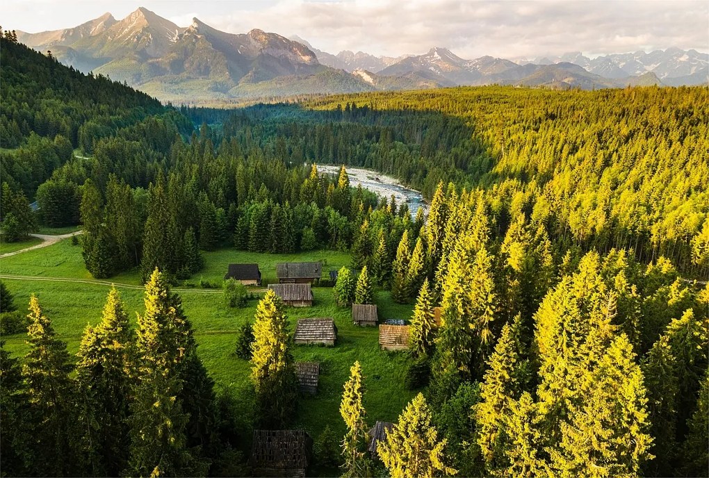 Vinyl flizelin Tapéta Tátra hegyek erdő jurg 370x255cm