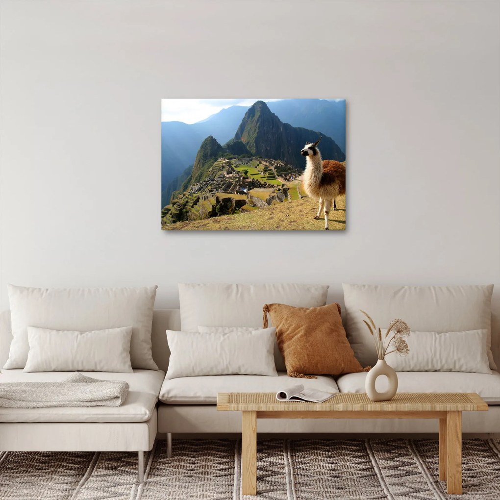 Kép - Láma és Machu Picchu (70x50 cm)