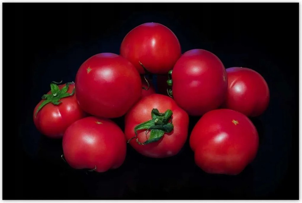 Poszterek 120x80 Piros paradicsom