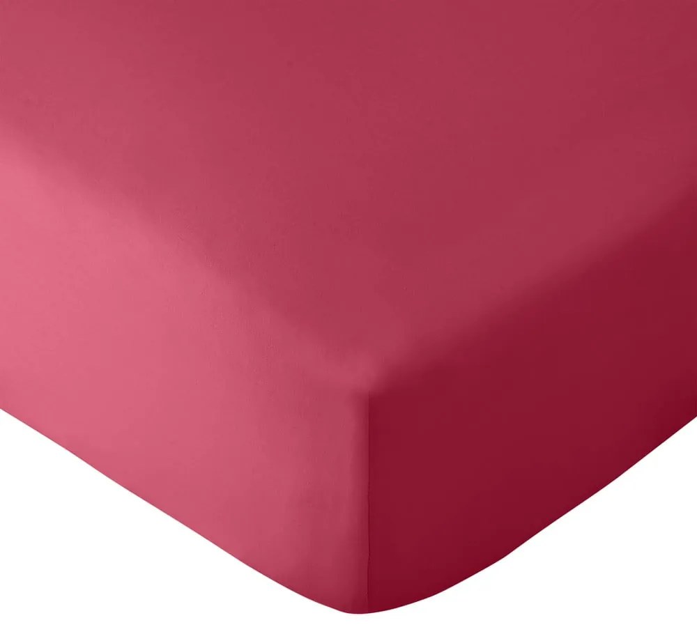 Sötét rózsaszín gumis mikroszálas lepedő 185x200 cm So Soft Easy Iron – Catherine Lansfield