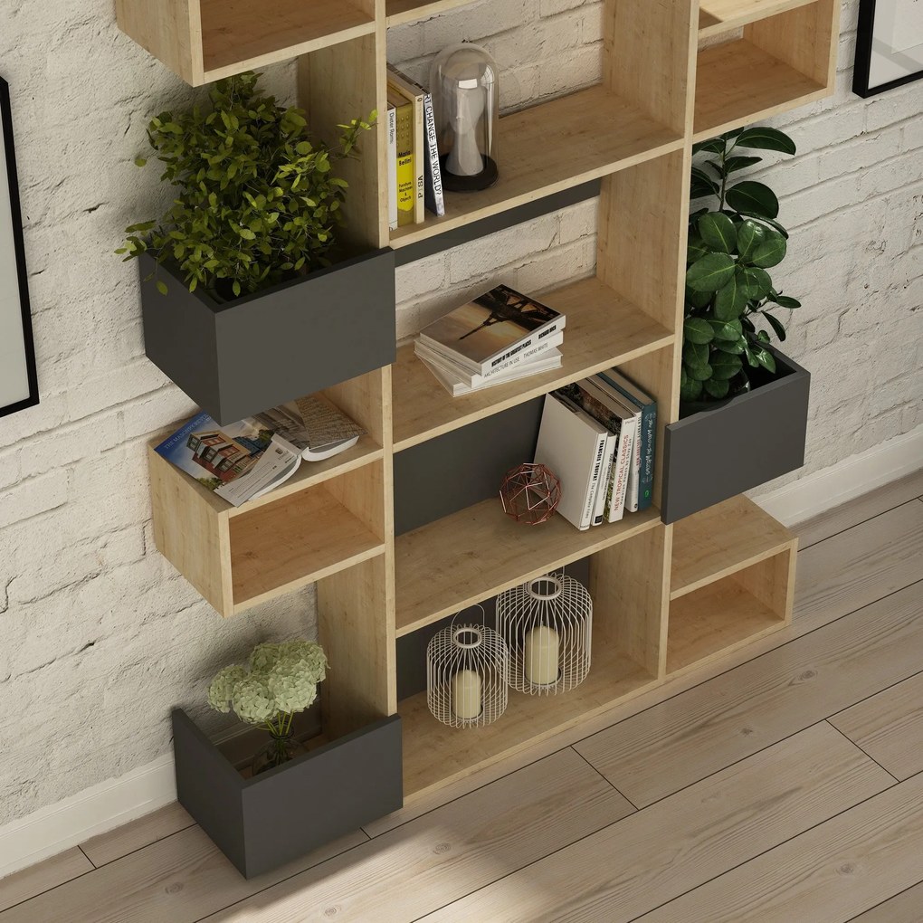 könyvespolc Niho - Oak, Anthracite
