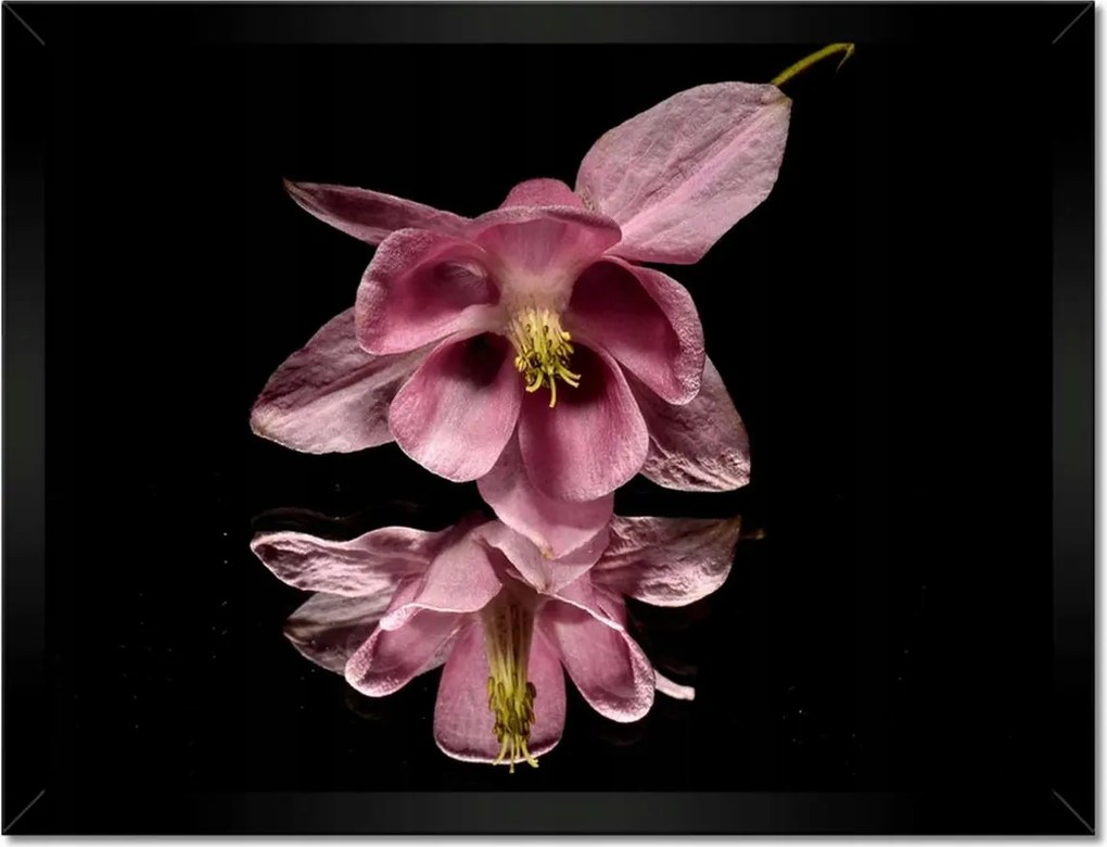 Poszterek keretben 40x30 Nőnap Ajándék Love