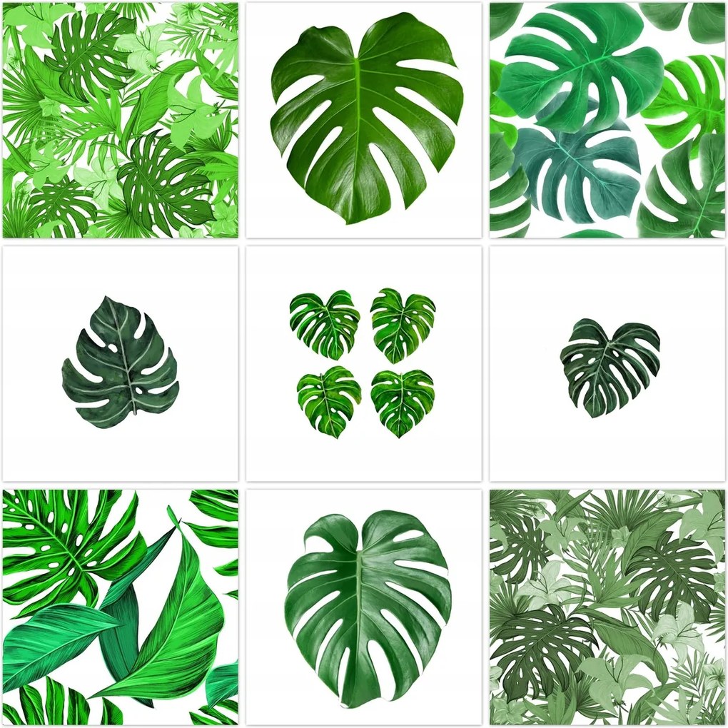 Vászonkép szett 9x 40x40 Mix Levelek Monstery