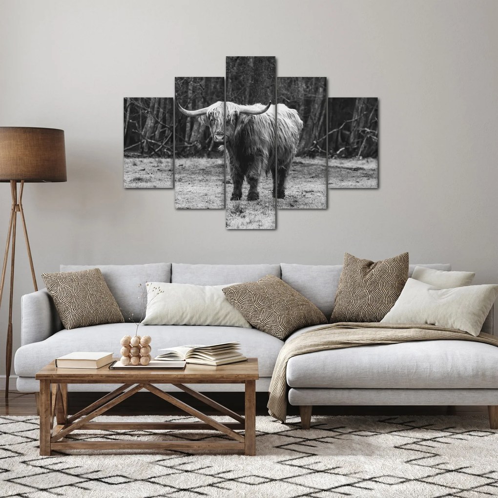 Kép - Skót tehén 3, fekete-fehér (150x105 cm)