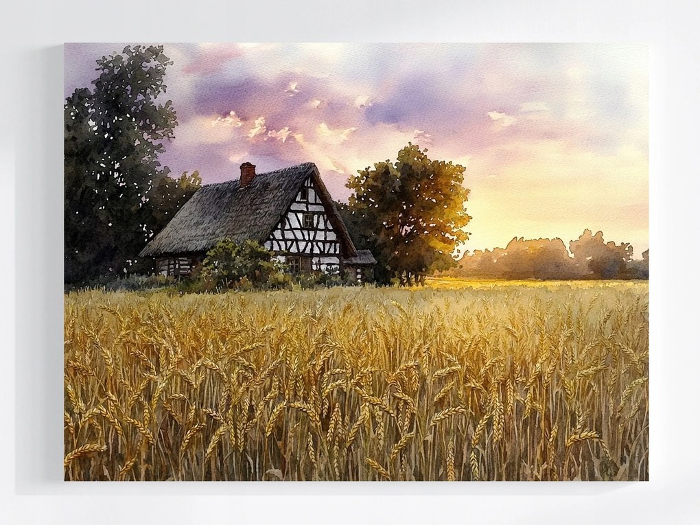 Vászonkép Canvas Tájkép Szabadtéri Ház Gabonamező Kalászok Nyár 80x60