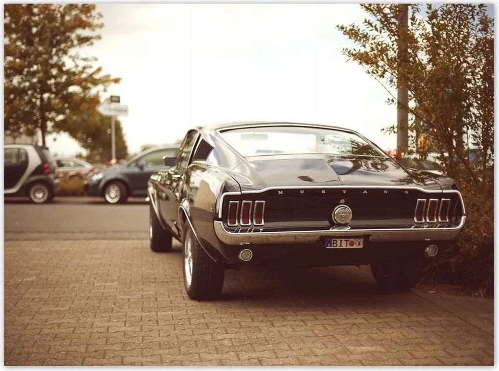 Poszterek 135x100 Vintage fotó Ford Mustang