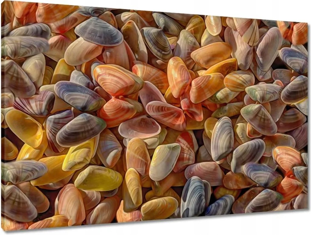 Vászonkép 90x60 Színes kagylók nyomtatás