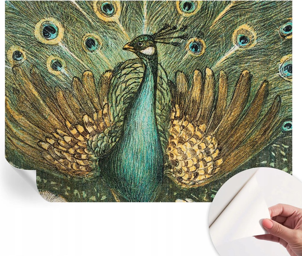 Öntapadós fali fotótapéta Hálószobába Fenséges páva 208x146 cm