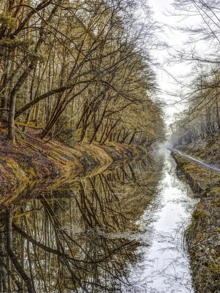 Poszter 60x80cm Csatorna az erdőben, Assaf Frank