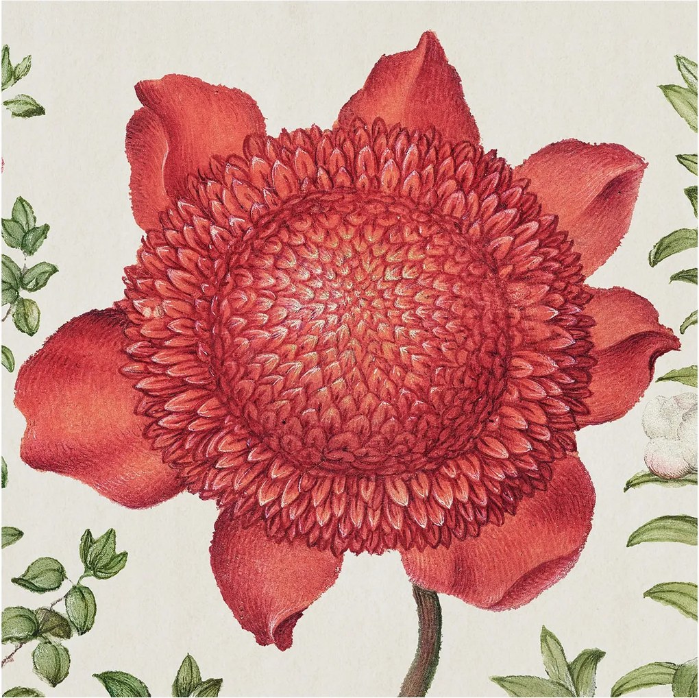 Flizelin Dekoratív fotótapéta Hálószobába Virágos elegancia 250x250