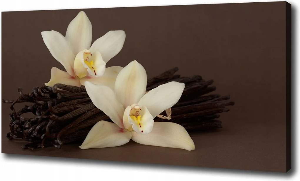 Vászonkép Vanília pálcák 120x60 cm