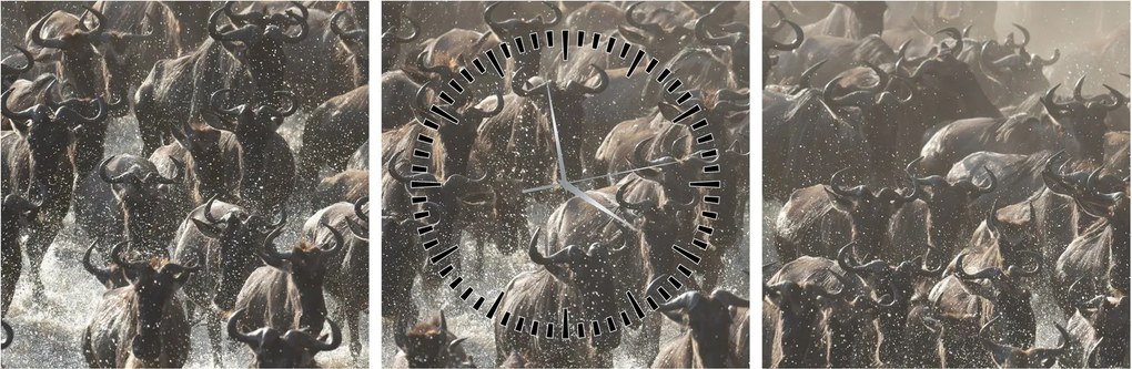 Kép - Gnúcsorda (órával) (90x30 cm)