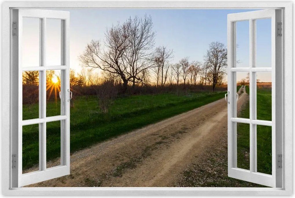 Poszterek 90x60 Mezei út Fák Mezők