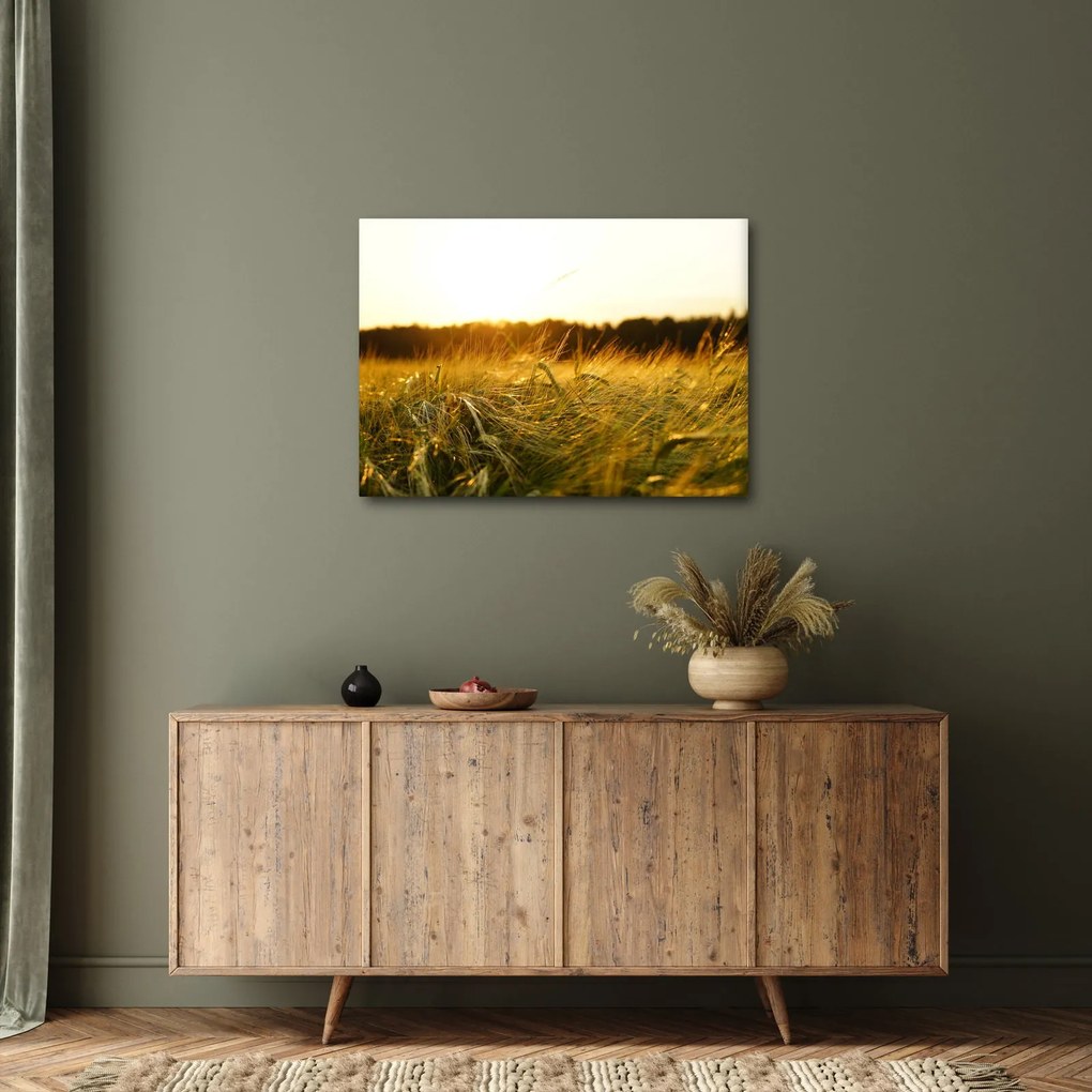 Harmatos fű képe (70x50 cm)