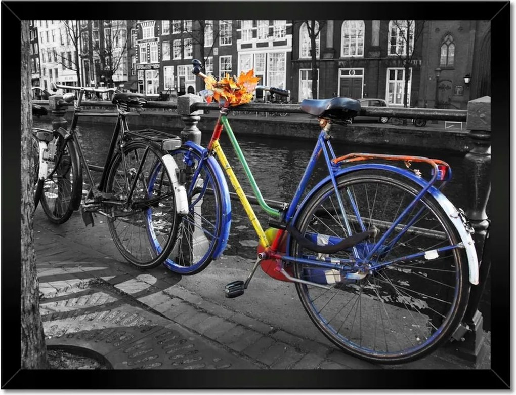 Poszterek keretben 40x30 Őszi levelek