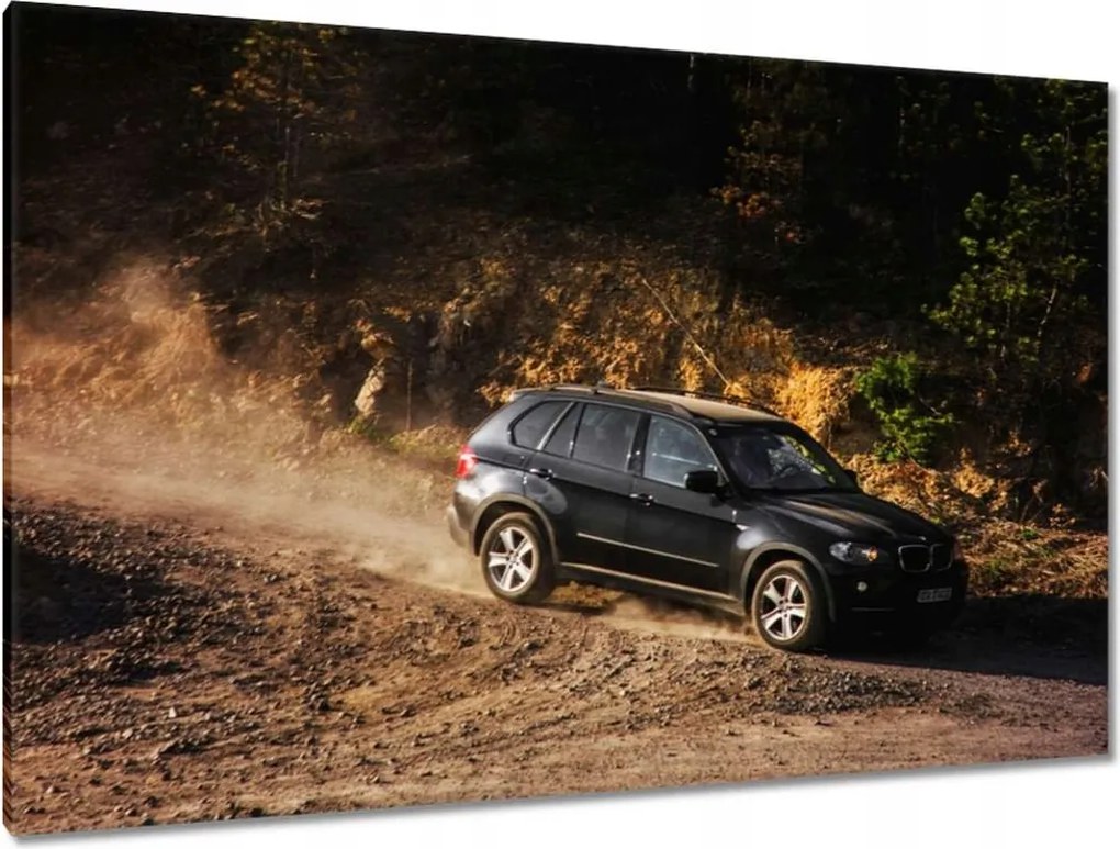 Képek 120x80 Fekete terepjáró Bmw