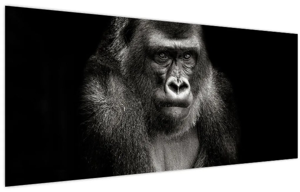 Kép - Gorilla (120x50 cm)