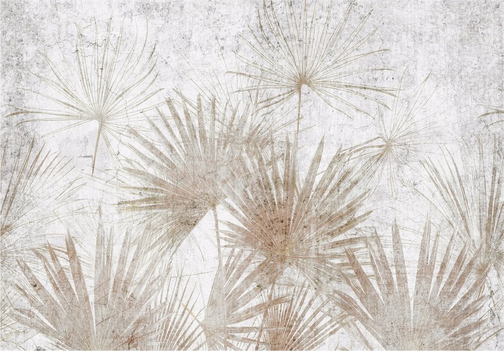 Fotótapéta Levelek A Betonon A Nappali Hálószobájába Flizelina Tapéta 300x210