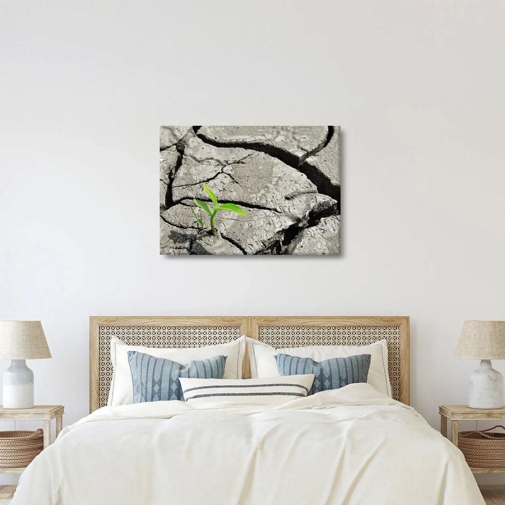 Kép - Repedések (70x50 cm)