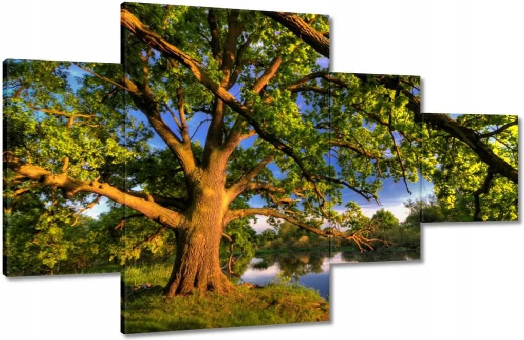 Vászonkép 130x80 Tölgy a croissant-ban Nyugat