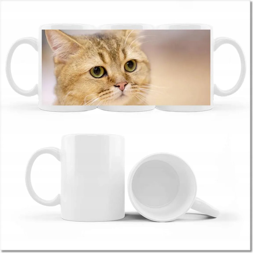 Fotó bögre Macska Cicák