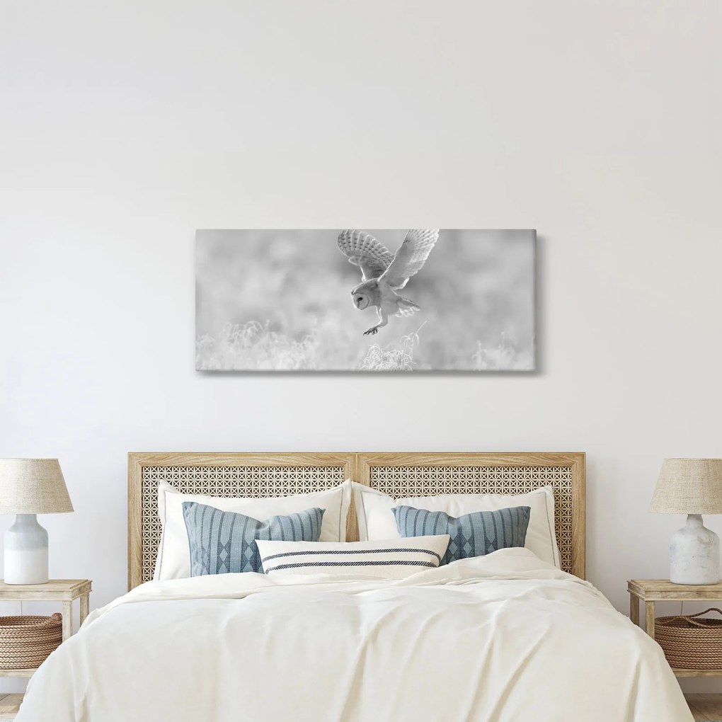 Kép - Bagoly a mezőn (120x50 cm)