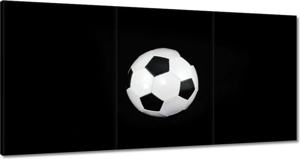 Festmények 120x60 Labdarúgás