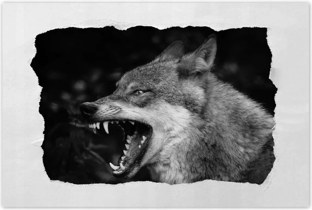 Poszterek 90x60 Természet Emberség