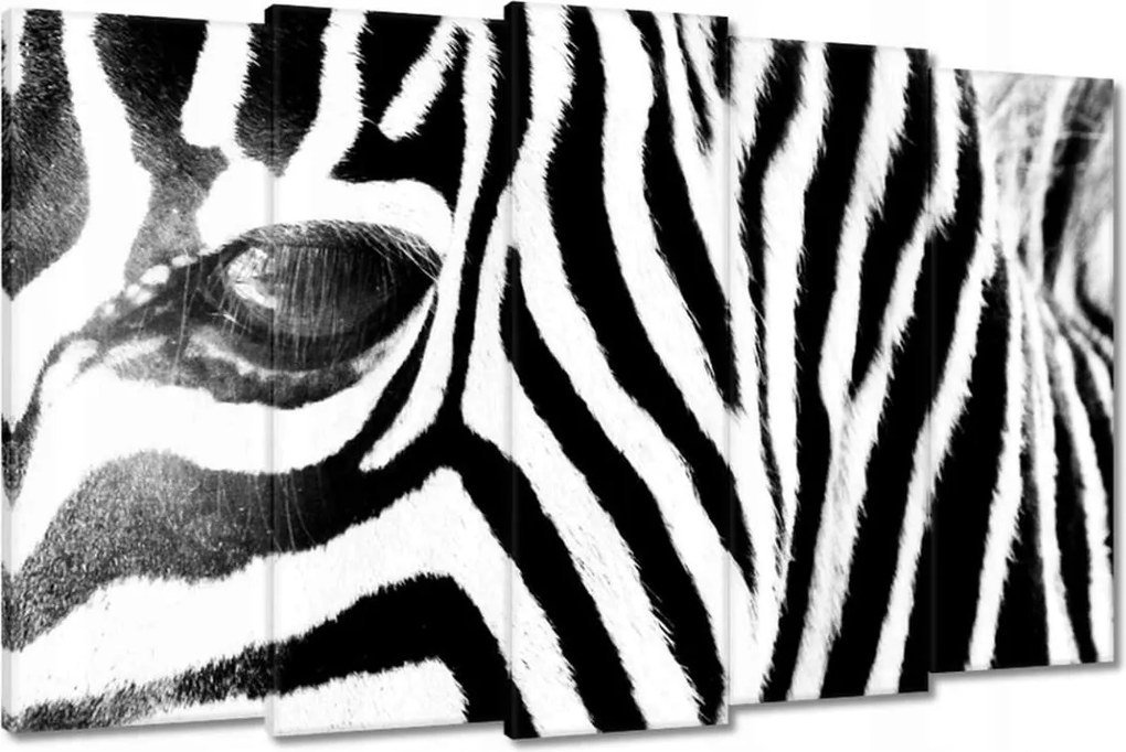 Vászonkép 150x95 Zebra csíkok