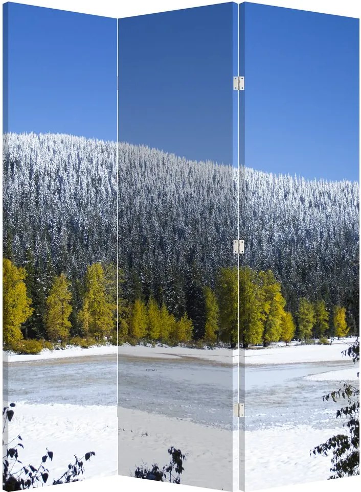Paraván - Havas hegyek télen (126x170 cm)