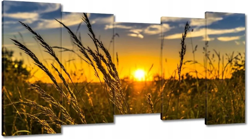 Vászonkép 150x80 Naplemente a füvek között