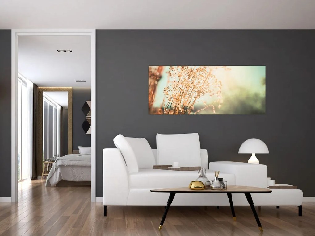 Kép - Növények eső után (120x50 cm)