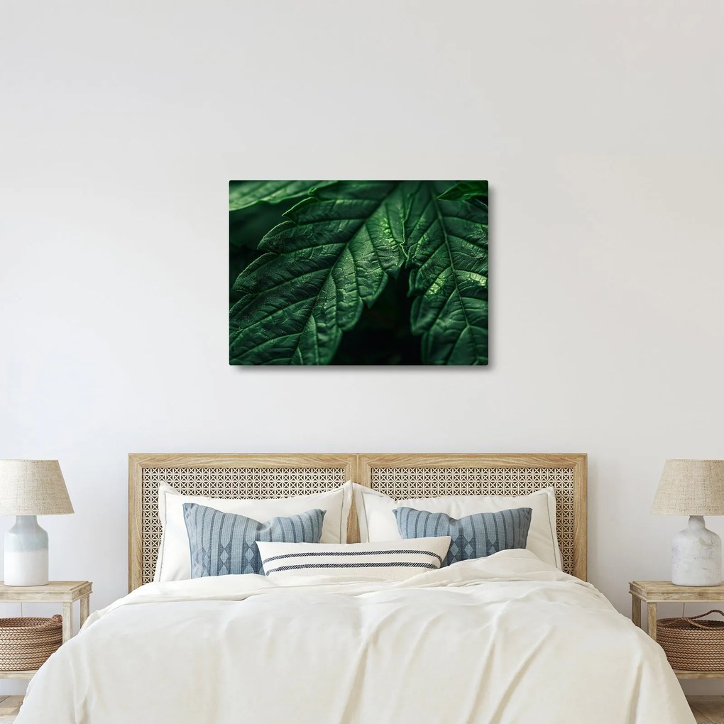 Kép - A lap részletei (70x50 cm)