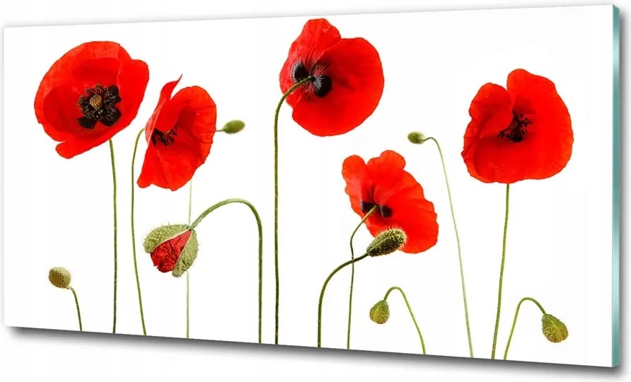 Fotó kép edzett üveg Margaréták 100x70