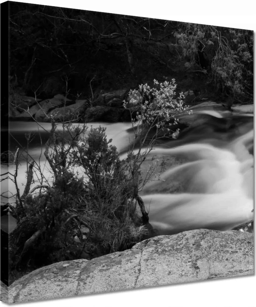 Vászonkép 30x30 Hosszú folyó az erdőben