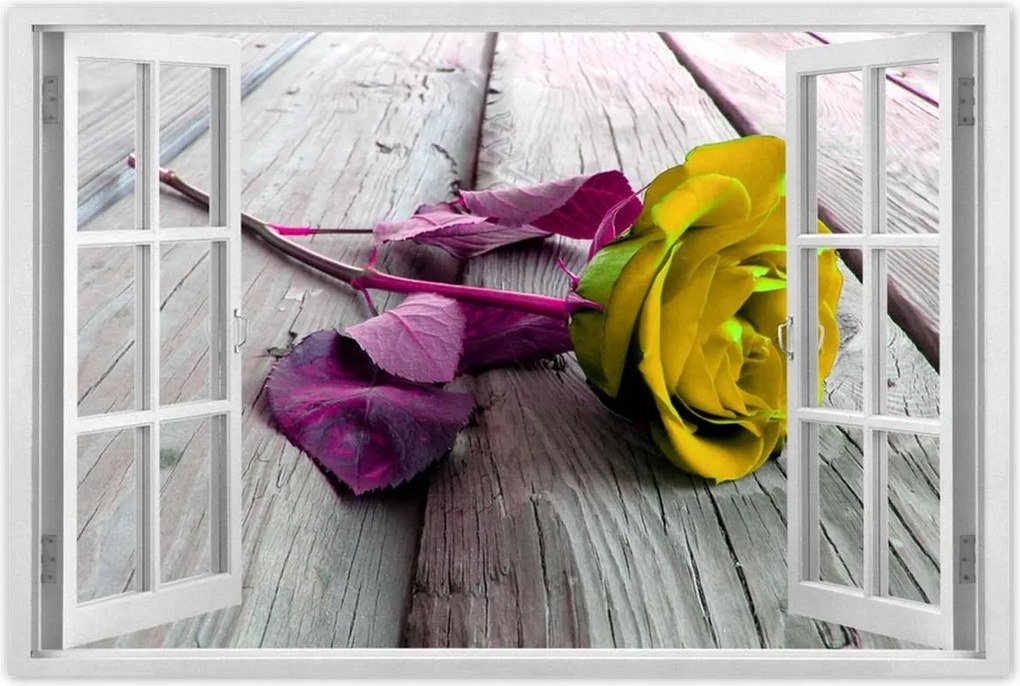 Poszterek 60x40 Freeky rose