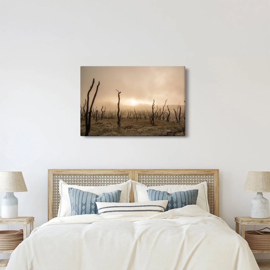 Kép - Csupasz fák (90x60 cm)