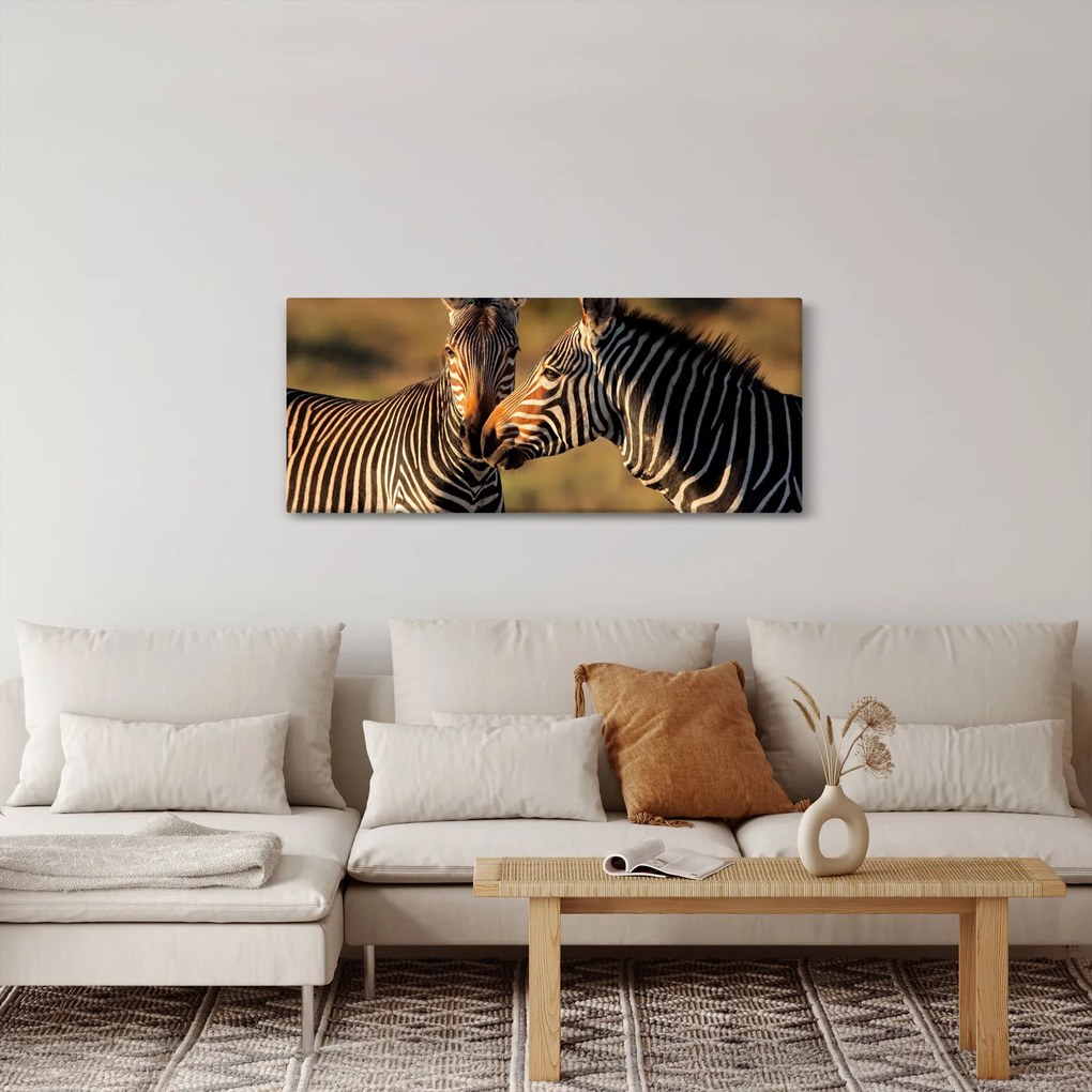 Kép - Két zebra (120x50 cm)