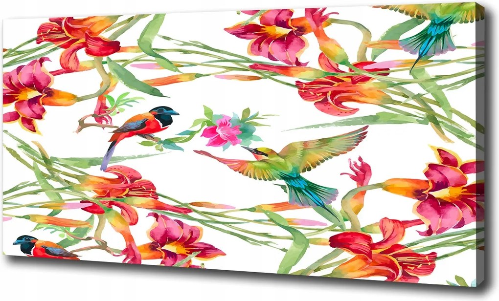 Vászonkép Egzotikus madarak 100x70 cm
