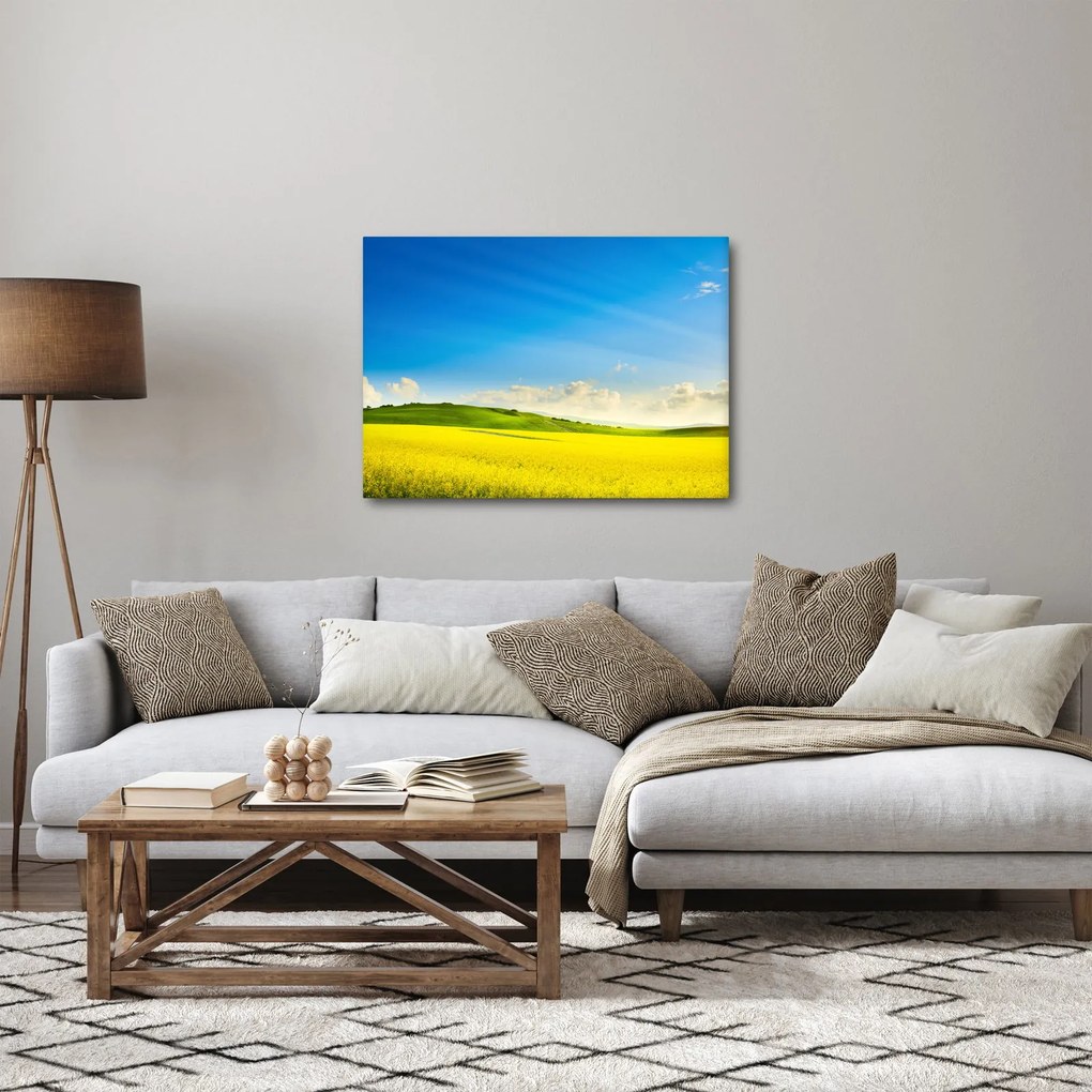 Kép - Tavaszi ég (70x50 cm)