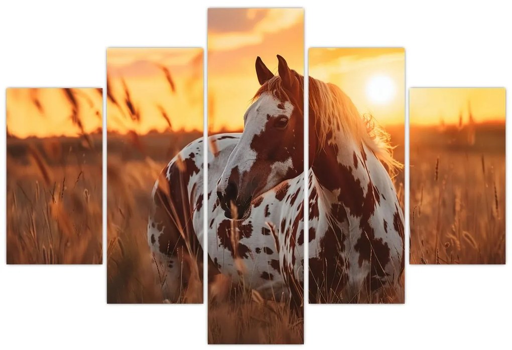 Kép - Ló naplementében (150x105 cm)