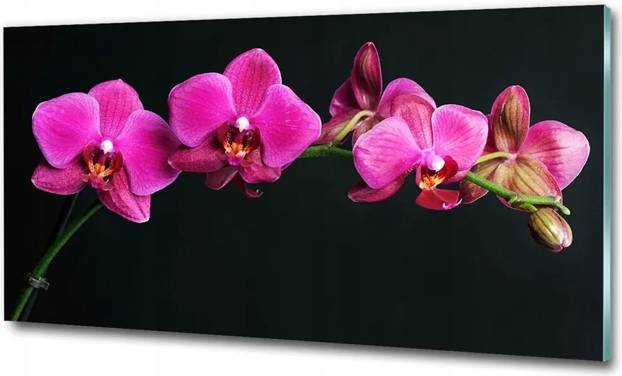 Fotó vászonkép edzett üveg Aster 100x70