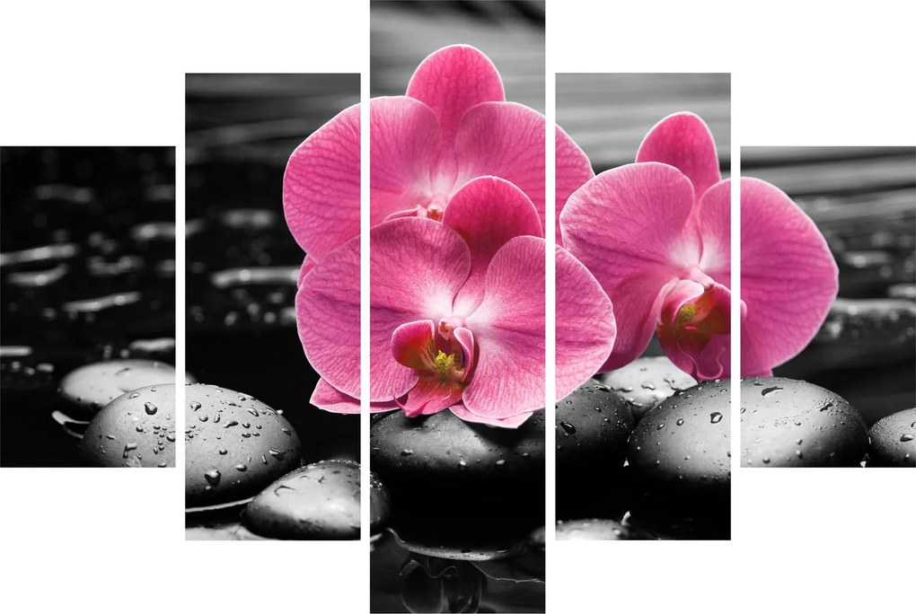Kép - Rózsaszín orchideák (150x105 cm)