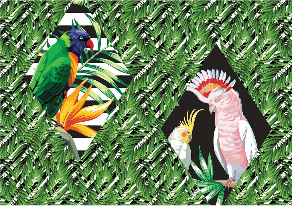 Flizelin fotótapéta Trópusi papagájok egzotikus paradicsomi madár 254x184 +ragasztó