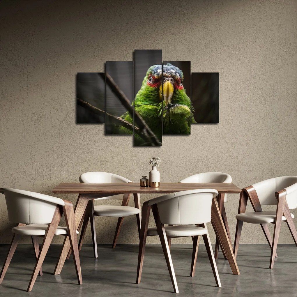 Papagáj képe (150x105 cm)