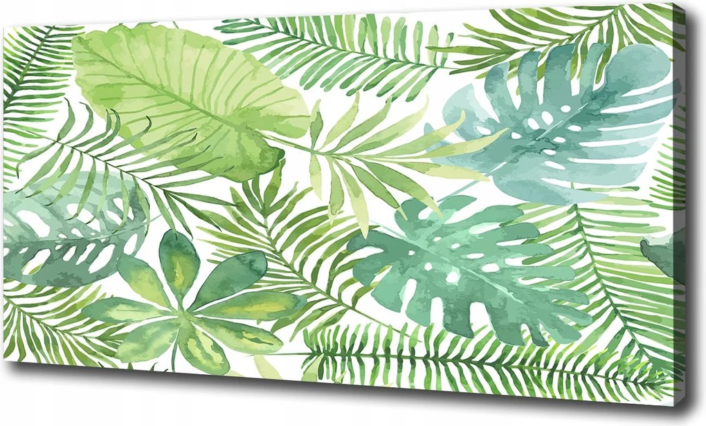 Vászonkép Trópusi levelek 100x70 cm