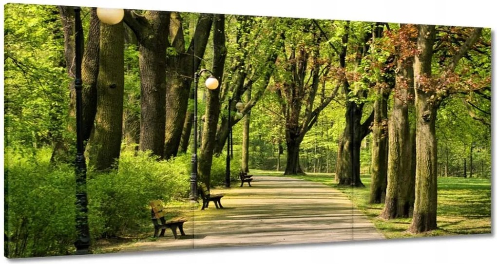 Vászonkép 60x30 Citadella park