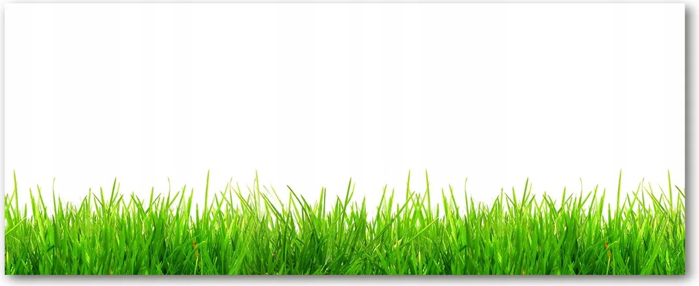 Edzett üveg panel a szekrények között Fű XXL